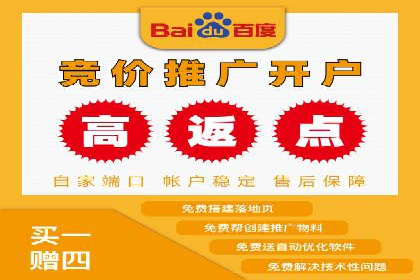 某电商平台信息流广告的精准推广策略